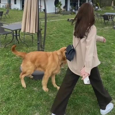 白昼惊魂